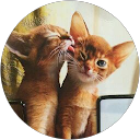 Paula De Brito profile picture